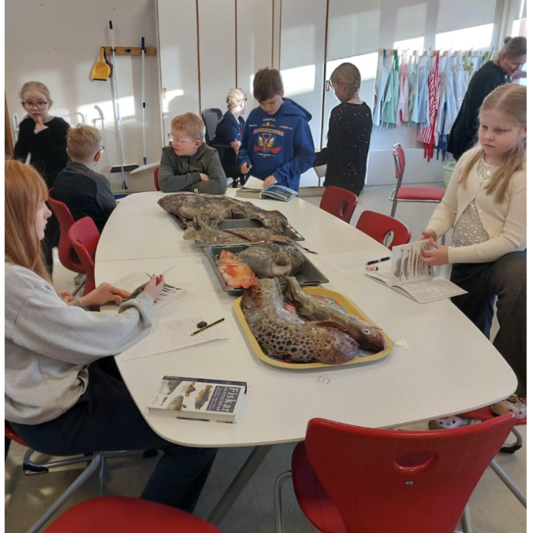 screenshot-2026-03-19-at-125256