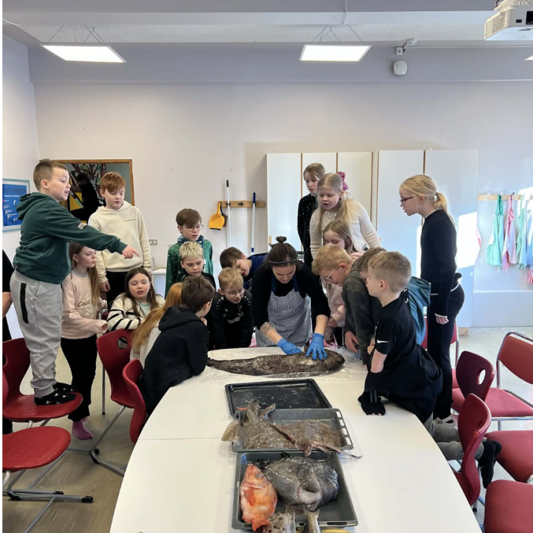 screenshot-2026-03-19-at-125317