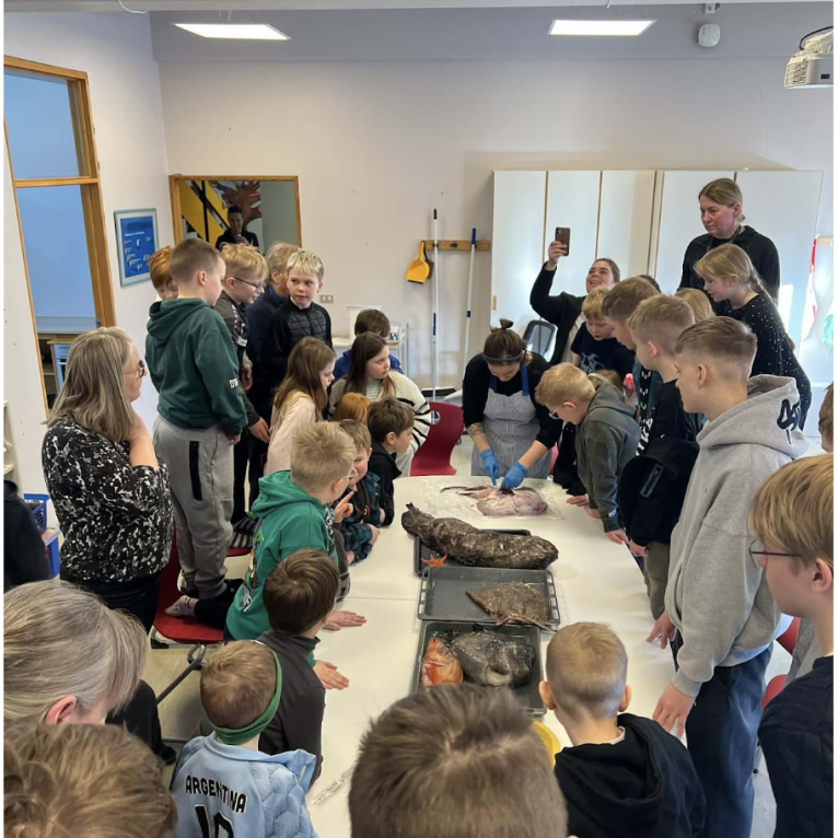 screenshot-2026-03-19-at-125330