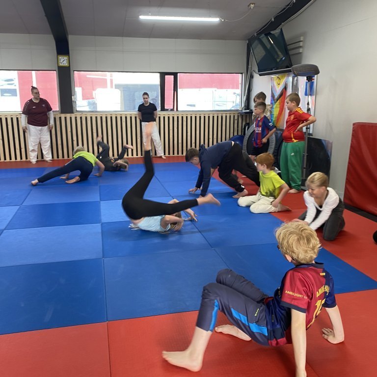 Undirstöðuatriðin í glímu numin