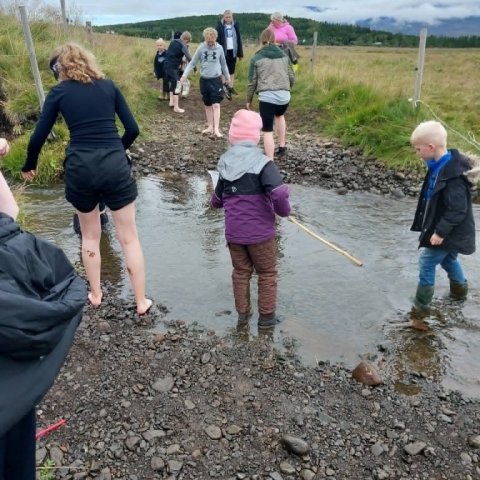 01322965-f30d-4066-8de9-23d0a48d9107.jpeg