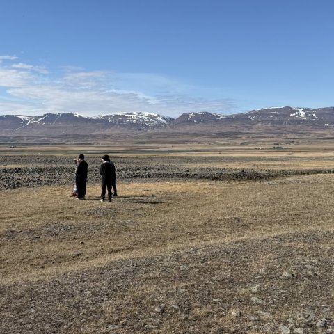 img_4451.jpg