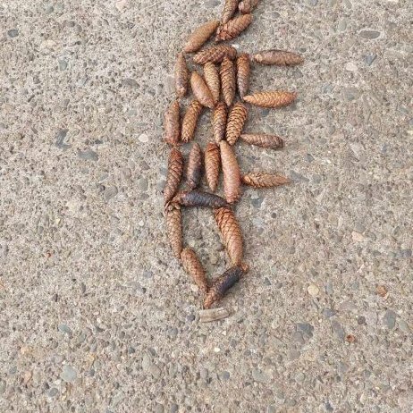 377116313_172841335847018_5713687785390725107_n