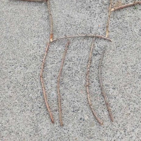 380632177_1475873046644881_2420130823778981843_n