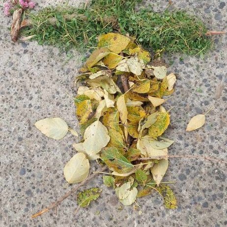 380808112_1554219438733183_1716714031328167096_n