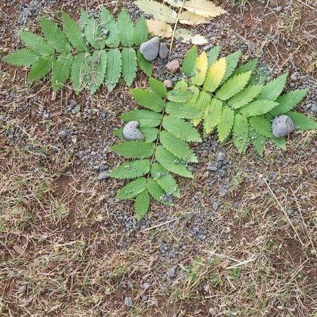 380812260_1655985231577364_6597964173329920072_n