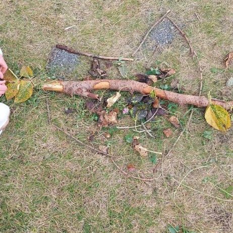 380844547_335963098877213_2033020782713412797_n