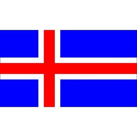Skólasetning