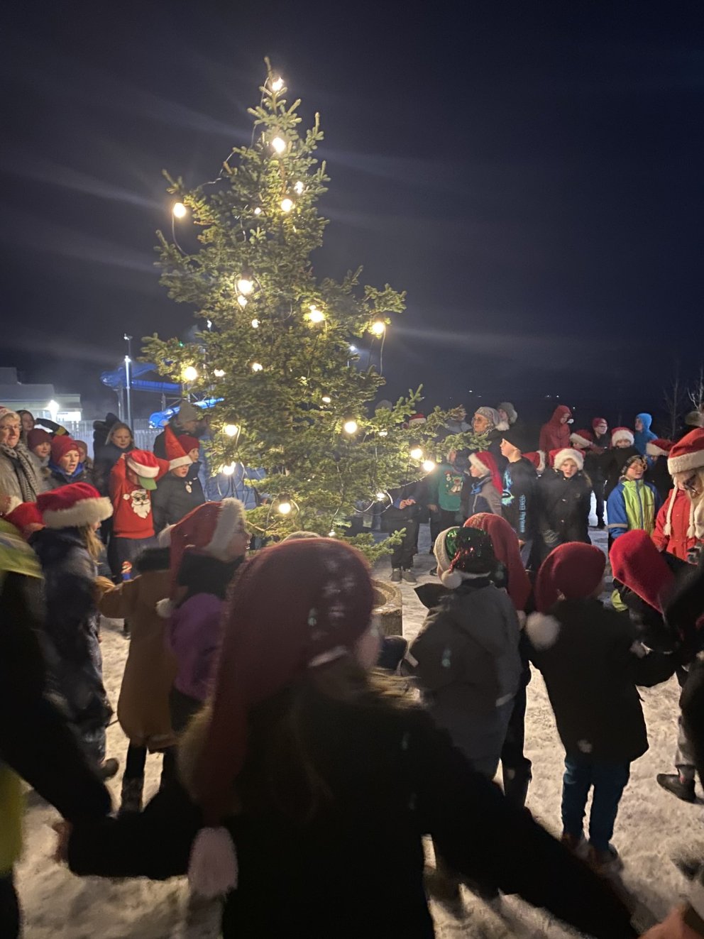 Jólatré í upphafi aðventu