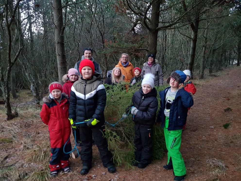 Jólatré sótt í Reykjarhólsskóg