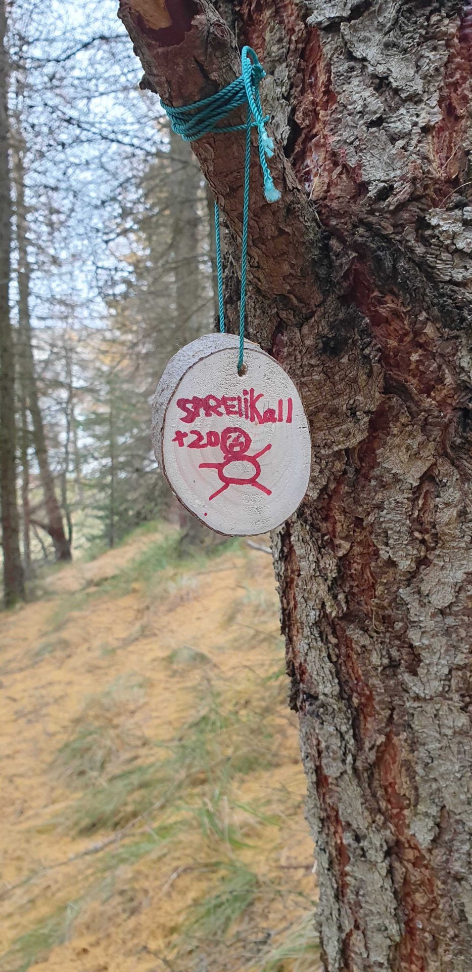 Mynd af sprellikarlaæfingu.