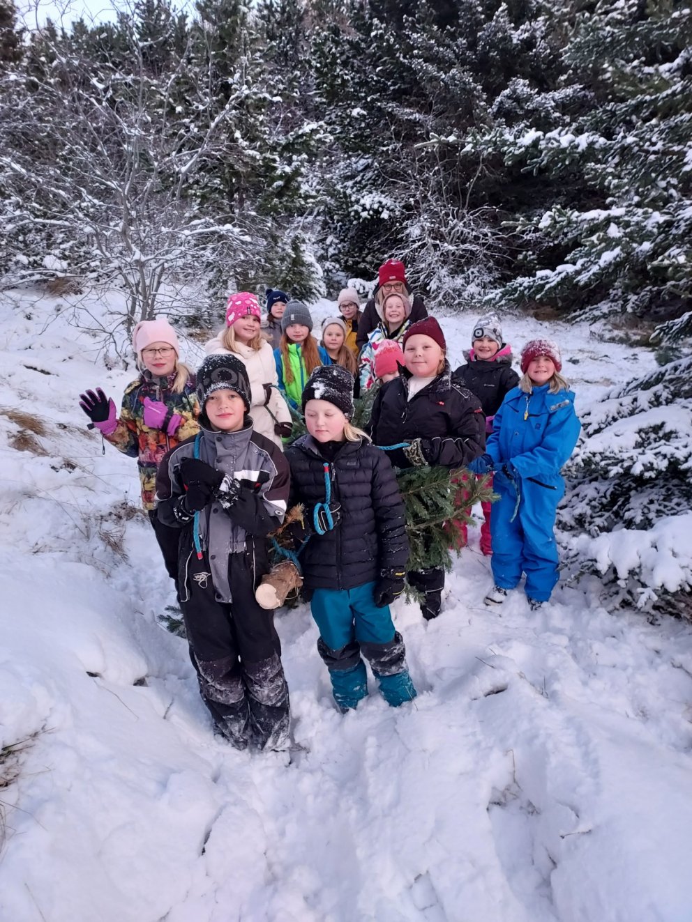 Jólatré og jólaljós