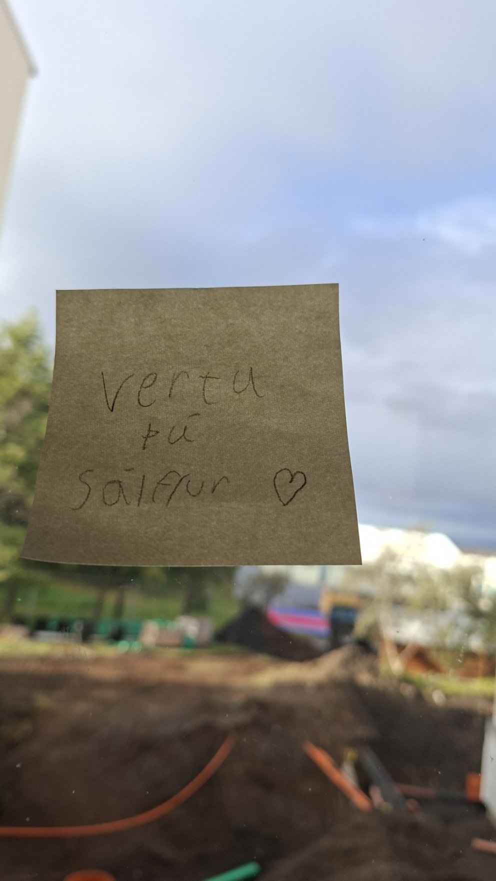 Vikupóstur 30. október