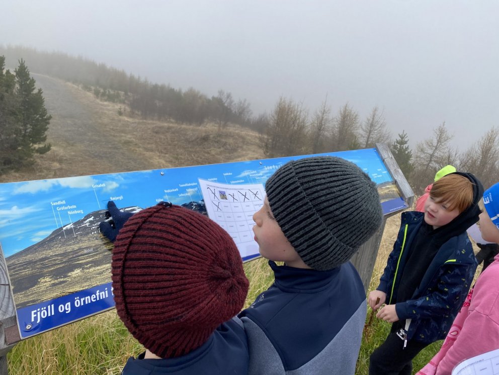 Örnafnaverkefni yngsta stig