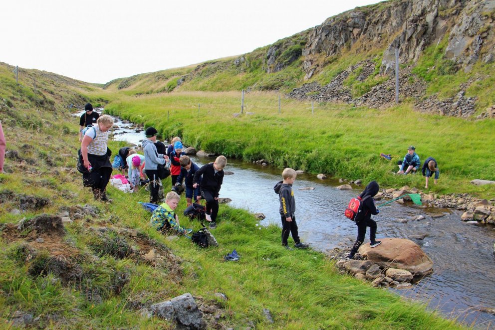 Vel heppnuðum hreyfidögum lokið