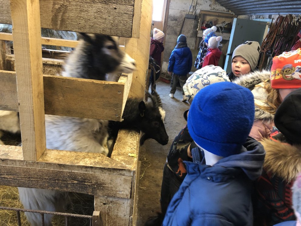 1. og 2. bekkur í heimsókn á Víðimel