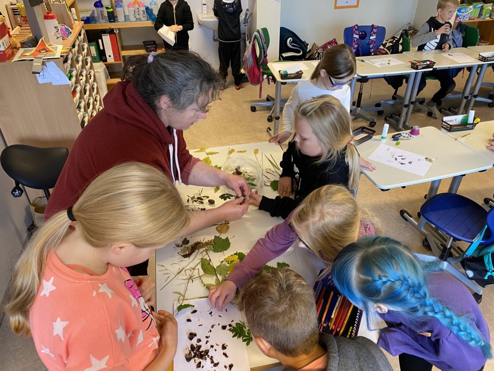 Náttúrusýnikennsla