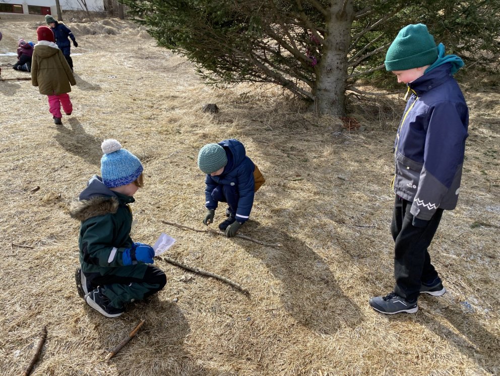 Beinagrind í útikennslu