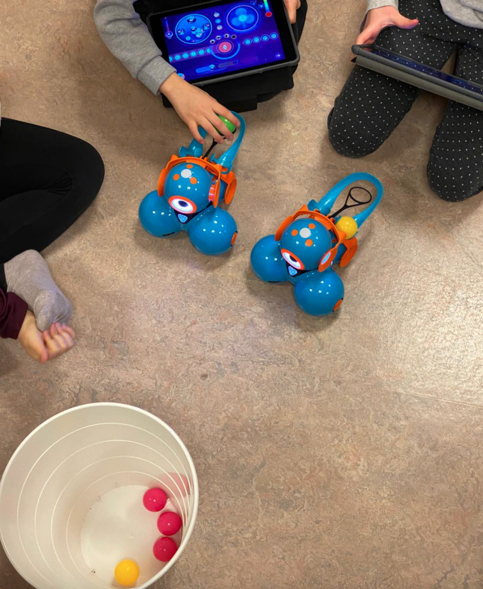 Forritunarkennsla á yngsta stigi