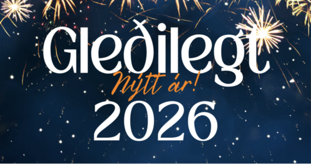 Gleðilegt nýtt ár