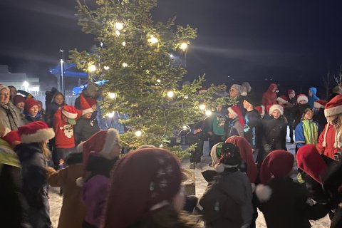 Jólatré í upphafi aðventu