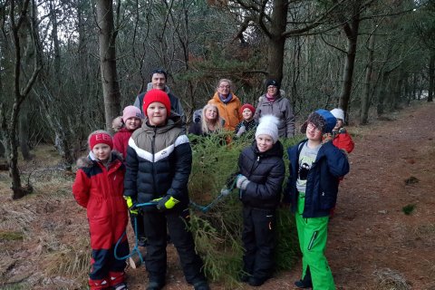 Jólatré sótt í Reykjarhólsskóg