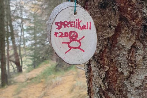 Mynd af sprellikarlaæfingu.