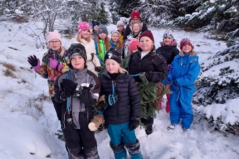 Jólatré og jólaljós