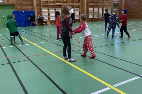 Myndir af danssýningu