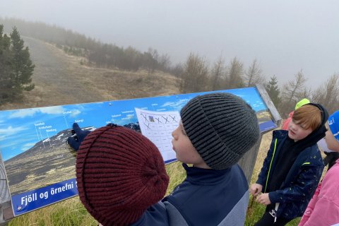 Örnafnaverkefni yngsta stig