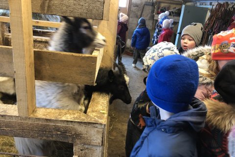 1. og 2. bekkur í heimsókn á Víðimel