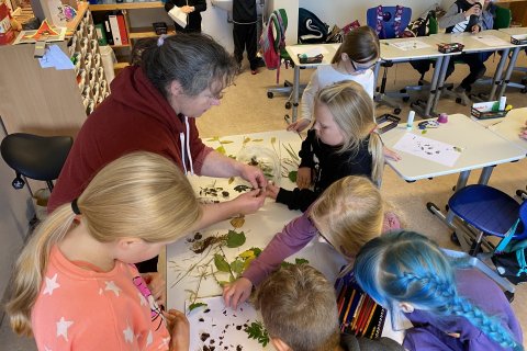 Náttúrusýnikennsla