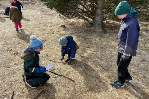 Beinagrind í útikennslu