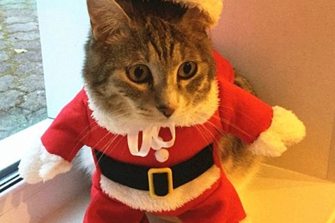 Jólafatadagur 7. des.