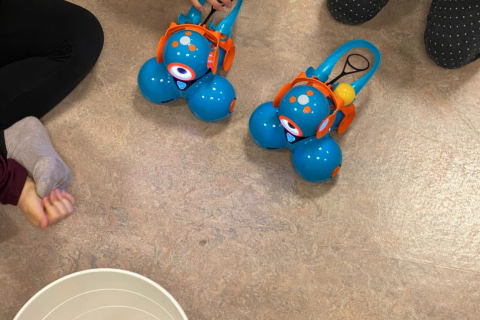 Forritunarkennsla á yngsta stigi