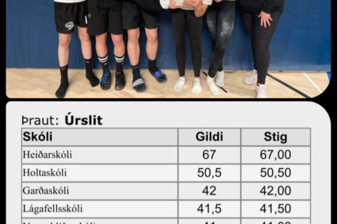 5. sætið í Skólahreysti