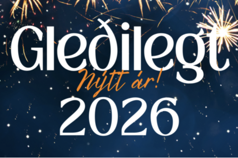 Gleðilegt nýtt ár