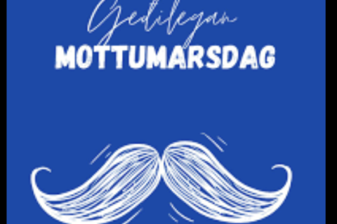 Mottumarsdagurinn 19. mars