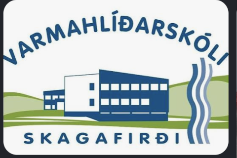 Kosning nemendaráðs